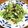 YUKIKI☆'s cooksnap of when they made 春菊と椎茸の素麺チャンプルー.