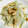 みゆきだいふく315's cooksnap of when they made うどのくるみ味噌マヨ和え.