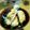 きうぴ's cooksnap of when they made サーモンと湯葉のライスペーパー揚巻.