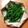 ナイチンゲール3's cooksnap of when they made 超簡単...5分..丼で茹でる.いんげん.