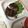 あきひよ12's cooksnap of when they made ヘルシー節約メンチカツ.