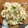 ゆーこ83's cooksnap of when they made 大根と焼き海苔のスイートチリマヨ和え.