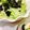 LimeLunch's cooksnap of when they made 簡単！野菜モリモリ♡チョレギサラダ.