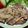 146cmママ's cooksnap of when they made フライパンで簡単！豚肉のクリームソース.