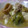にゃぁくん's cooksnap of when they made からだにやさしい♪肉豆腐の玉子とじ.
