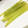 クックEO8LYA☆'s cooksnap of when they made フキの下ごしらえ.