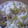 ucchiey's cooksnap of when they made ふきの香りの炊き込みごはん.