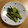 ひゅうよし's cooksnap of when they made ◆◆所要時間３０秒？！きゅうりの簡単副菜◆◆.
