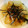 ねこ₃'s cooksnap of when they made 簡単！大根の揚げ出し.