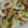 クックMAB152☆'s cooksnap of when they made キャベツとちくわの煮もの.