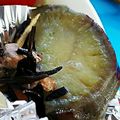 ユーロン's cooksnap of when they made さつまいもの塩レモン煮.