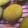 seisuiren's cooksnap of when they made キンカンクッキー.