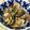 ティナたま's cooksnap of when they made ネギの香あさりの酒蒸し.