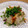 ぷぅぱん's cooksnap of when they made 簡単‼︎ 新玉ねぎと桜海老のレンジ蒸し.