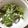 こじぴー's cooksnap of when they made ほうれん草とツナのごまドレサラダ♡.