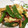 向日葵's cooksnap of when they made 中華風スナップエンドウとベーコンの卵とじ.