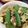 ☆★ケイト★☆'s cooksnap of when they made スナップエンドウとツナの炒め物.