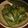無題ちゃん's cooksnap of when they made ピーマンの丸焼き.