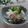 まろんかふぇ's cooksnap of when they made 新玉ねぎの簡単サラダ.