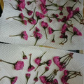 307号室's cooksnap of when they made 桜の花の塩漬け.