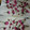 307号室's cooksnap of when they made 桜の花の塩漬け.