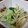 mari1008's cooksnap of when they made あったか簡単とろりん白菜の煮物.