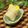 ぽっぽぺぺ's cooksnap of when they made ばななDEフローズン(^^♪.
