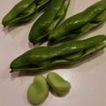 クック日和's cooksnap of when they made レンジで簡単！そらまめの下処理.