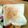 まなわかこじ's cooksnap of when they made キラキラ☆はちみつ練乳トースト.