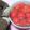 korakko's cooksnap of when they made ミニトマトのマリネ.
