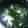 ＹＫＮ４．３'s cooksnap of when they made 二度美味しい！簡単ネギとショウガのスープ.