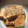 ＊pachi's cooksnap of when they made 簡単★厚揚げ豆腐の煮物.