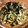桃と豆's cooksnap of when they made 豆苗ときゅうりとちくわのサラダ.