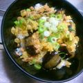 rr6860's cooksnap of when they made 絶対はまる！ナスの甘辛煮丼(*´I｀*).