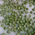daigo1015's cooksnap of when they made 豆ご飯.