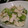 mi◎kitchen's cooksnap of when they made 簡単！おいしすぎ！鶏ささみのねぎ塩サラダ.