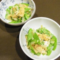 watership's cooksnap of when they made 絹さやと新玉ねぎの卵とじ.