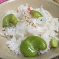 tomatamago's cooksnap of when they made ＊そら豆とカニカマの春色ごはん＊.