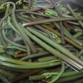 hinoko★'s cooksnap of when they made ストウブ【staub】❦わらびのあくぬき.