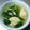 なおころピッコロ's cooksnap of when they made お手軽ロールレタスと茸の食べるスープ.