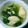 なおころピッコロ's cooksnap of when they made お手軽ロールレタスと茸の食べるスープ.