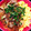キュンキュン☆☆'s cooksnap of when they made 焼肉のたれで簡単！牛そぼろ丼.