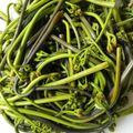 ワッシー岡's cooksnap of when they made ストウブ【staub】❦わらびのあくぬき.