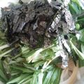 かぴーな's cooksnap of when they made 簡単★新玉ねぎの冷たいうどん.