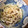 さおはるくん's cooksnap of when they made ニラともやしの中華風酢の物.