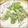 ちぇりー７０１'s cooksnap of when they made **かつおと大葉のてんぷら**.