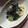 しみずみさと's cooksnap of when they made オクラとえのきのポン酢和え.