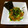 りこまこせいやのパパ's cooksnap of when they made 簡単！きゅうりと納豆のピリ辛あえ.