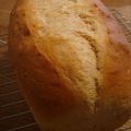 PopR's cooksnap of when they made Bread＊トマトバジル食パン.