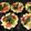 クック67M6IX☆'s cooksnap of when they made 餃子の皮でつくる、小さな春野菜のキッシュ.